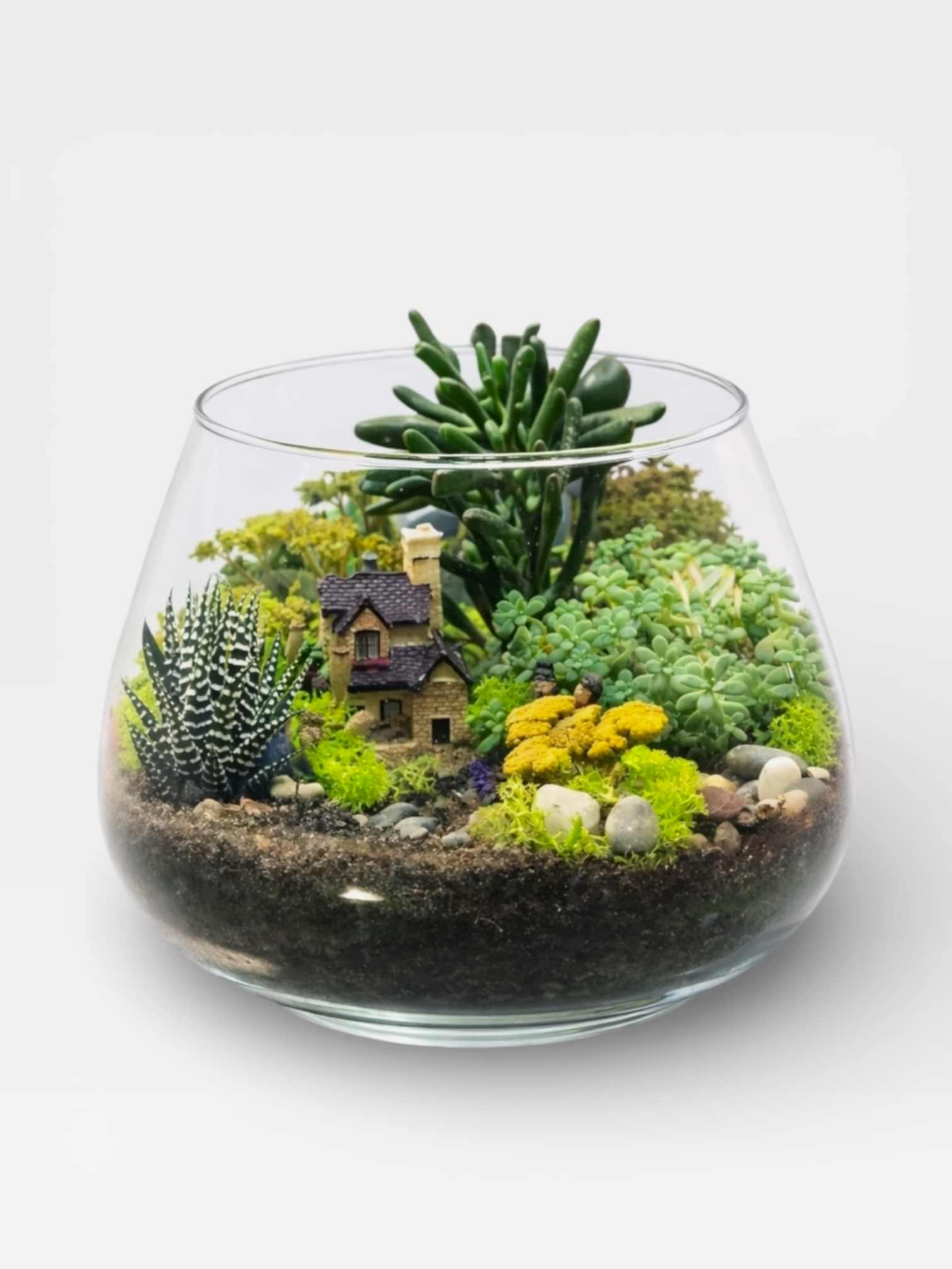 Cam Fanusta Dekoratif Teraryum